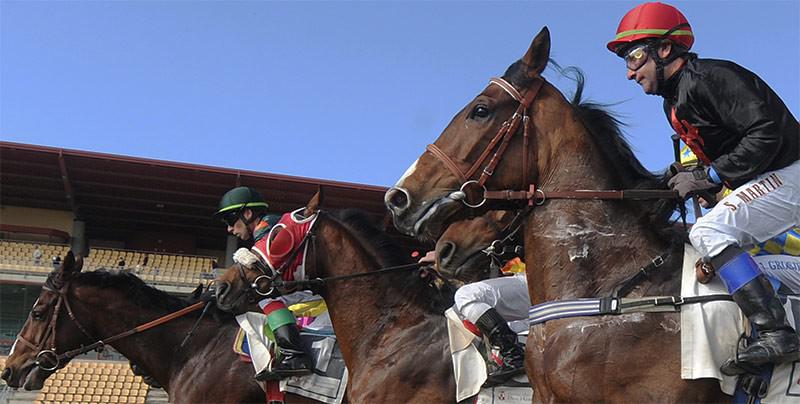 Carrera de caballos en el Gran Hipódromo de Andalucía